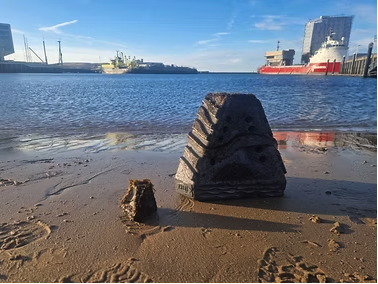 Ebbing Tides Seaweed