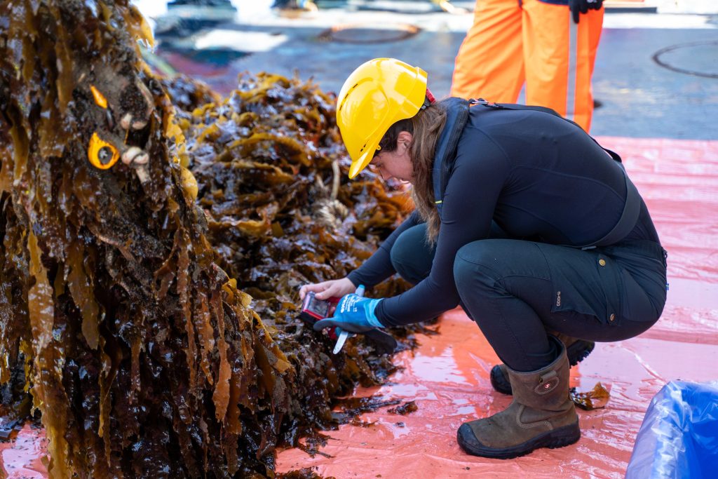 European Seaweed Association
